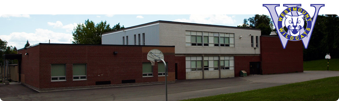 Back view of school